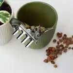 Eksperci obalili popularny mit: kamienie na dnie doniczki mogą zniszczyć